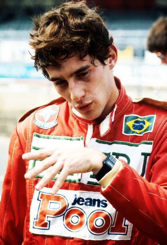 Senna thumbnail