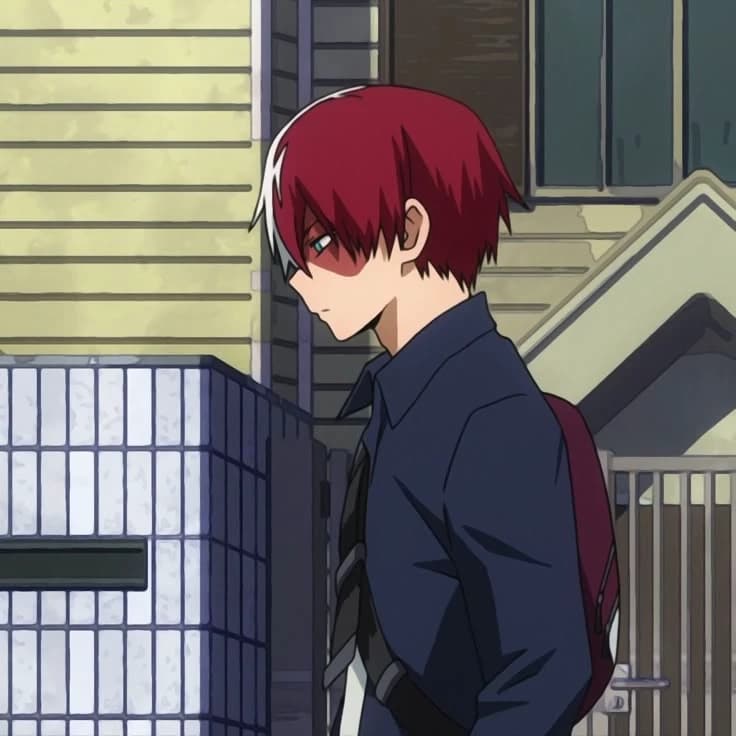 Shoto Todoroki thumbnail