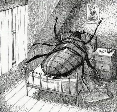 Metamorphosis thumbnail
