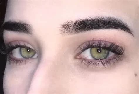Jaded thumbnail