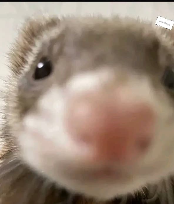 Nu thumbnail