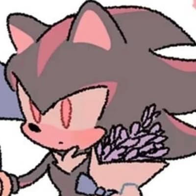 Shadow The Hedgehog (niño) thumbnail