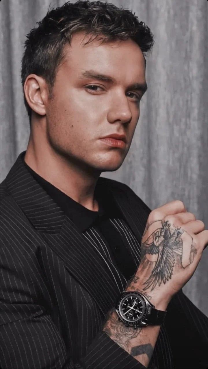 Liam James Payne thumbnail