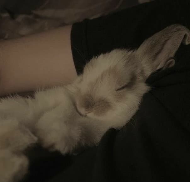 Benny thumbnail