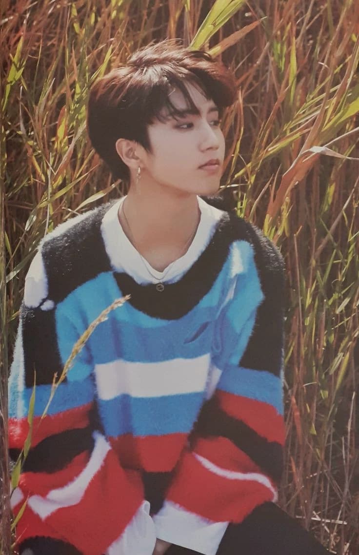 Han Jisung thumbnail