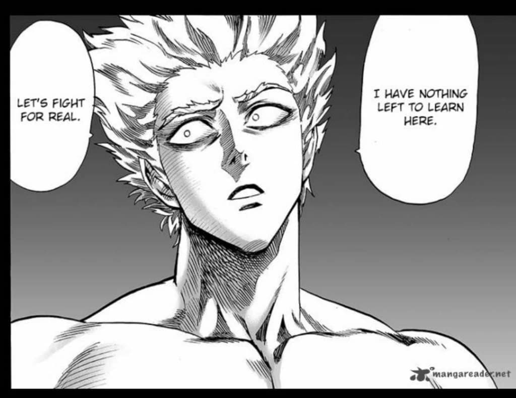 Garou-OPM ||餓狼|| thumbnail