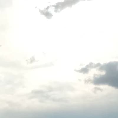 Anos and Zon thumbnail