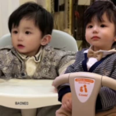 Jin Yan and Yu Yan thumbnail