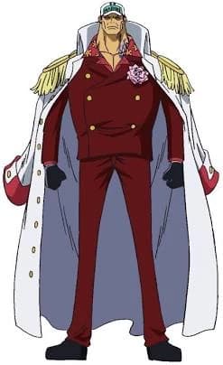 Akainu sakazuki thumbnail