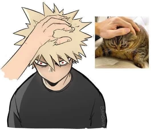<◦ Katsuki Bakugou ◦• thumbnail
