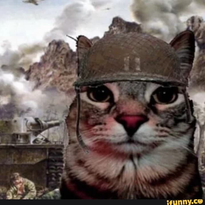 New Bot thumbnail