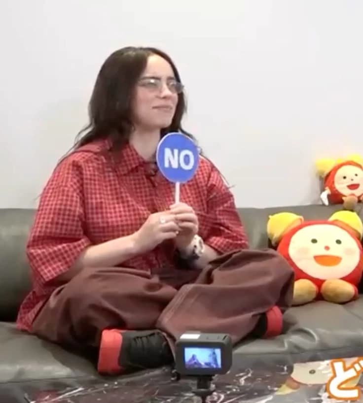 Billie Eilish Pirate Baird O'Connell  thumbnail