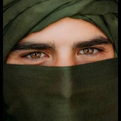 Omar bin Mahmood Al Maktoum Al Saif thumbnail