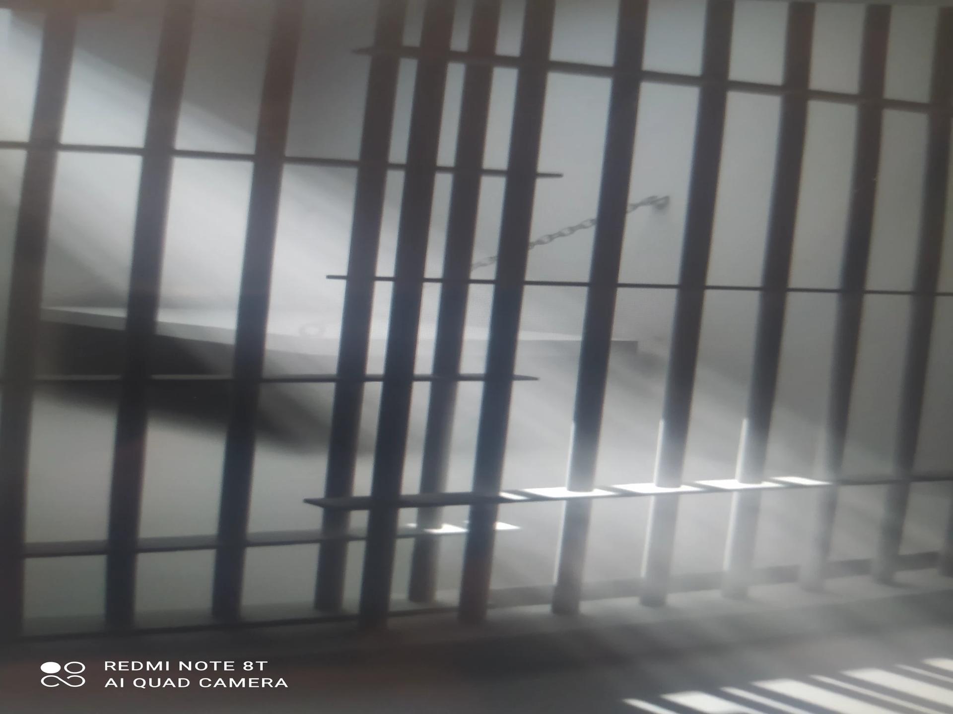 Prison of mutants thumbnail