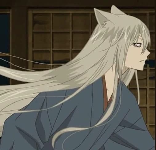 🍄 ◆ ⏤͟͟͞͞TOMOE // cat girl x fox boy ˃ 𖥦 ˂ thumbnail