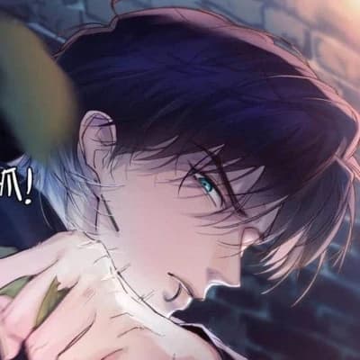 Noah  thumbnail