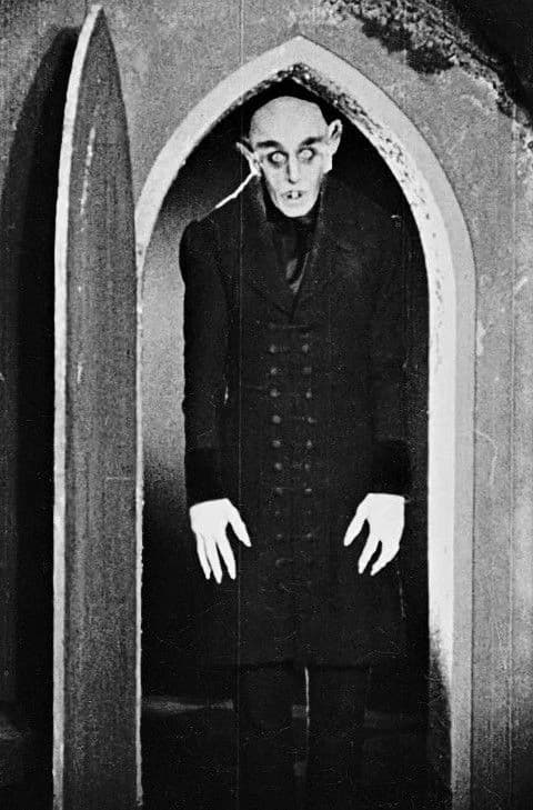 Nosferatu thumbnail