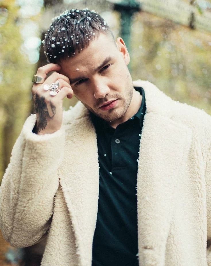 Liam James Payne thumbnail