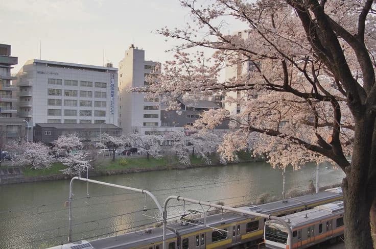 Japanese School RPG thumbnail