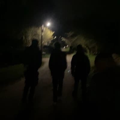 The Trespassers thumbnail