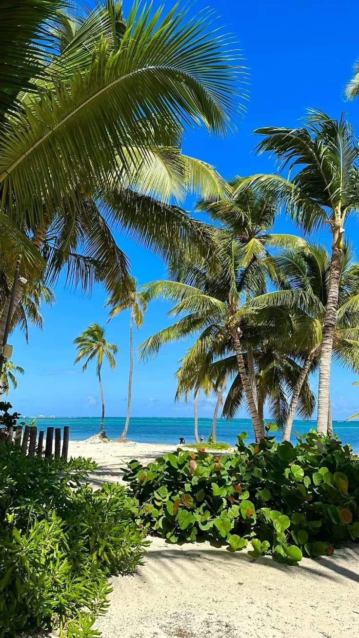 𝐑𝐏𝐆🌴 | Beach - Summer Breeze | thumbnail