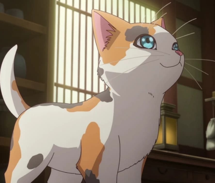 You are the cat from the Apauseofcarry diaries thumbnail