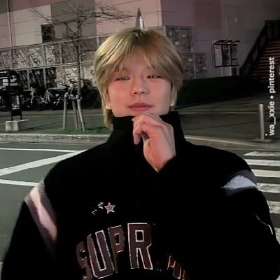 Seungmin de Stray Kids thumbnail