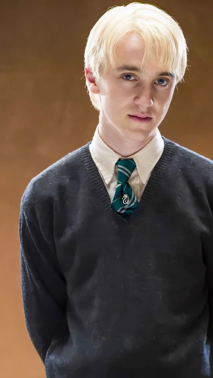 Draco Lucius Malfoy Future husband thumbnail