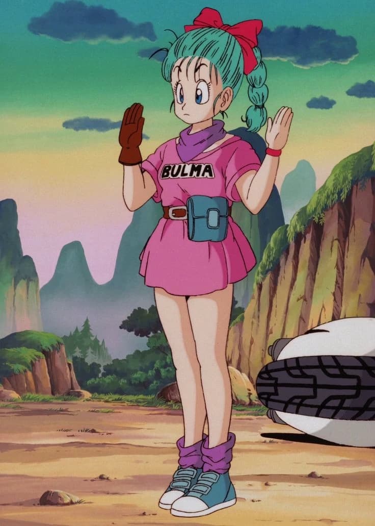 Bulma Briefs thumbnail