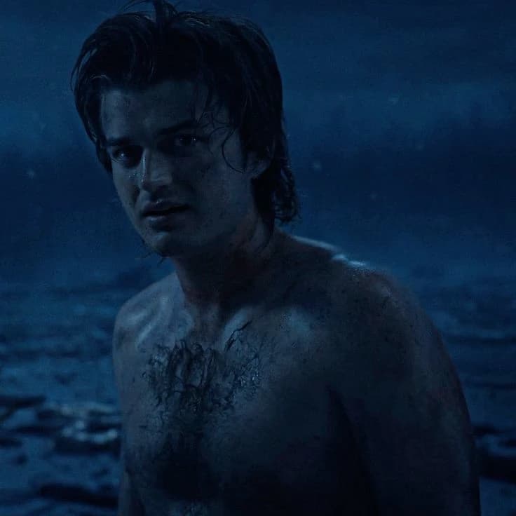 Steve Harrington thumbnail