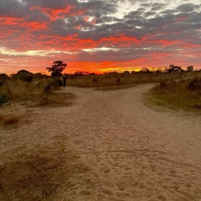Africa thumbnail