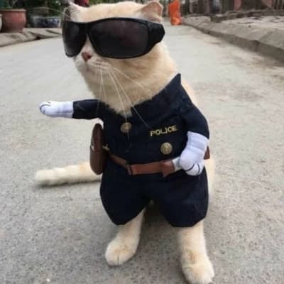 Police Meow Meow thumbnail