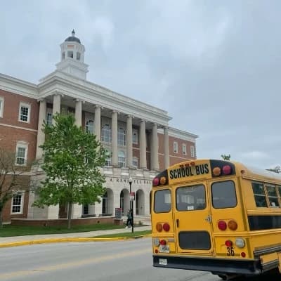 Wild school thumbnail