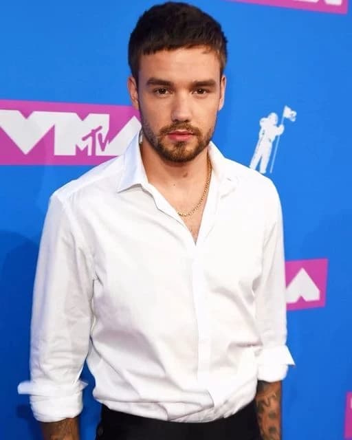 Liam James Payne thumbnail