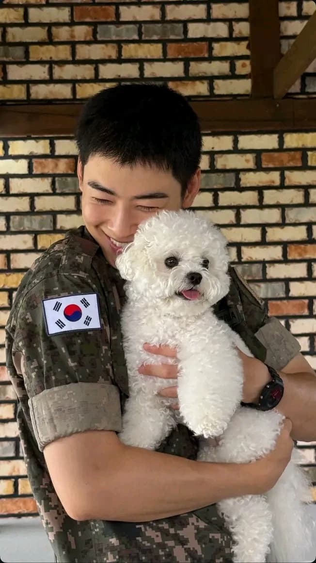 Cha Eunwoo – After Military  thumbnail