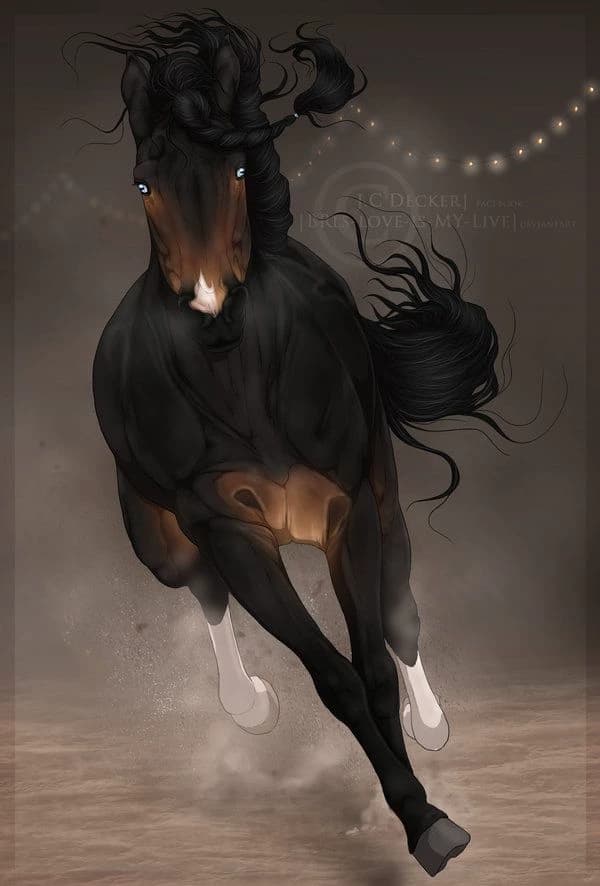 Angelo (your horse) thumbnail