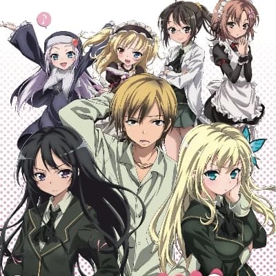Sena Kashizawaki thumbnail