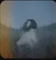 Baji fantasma. thumbnail