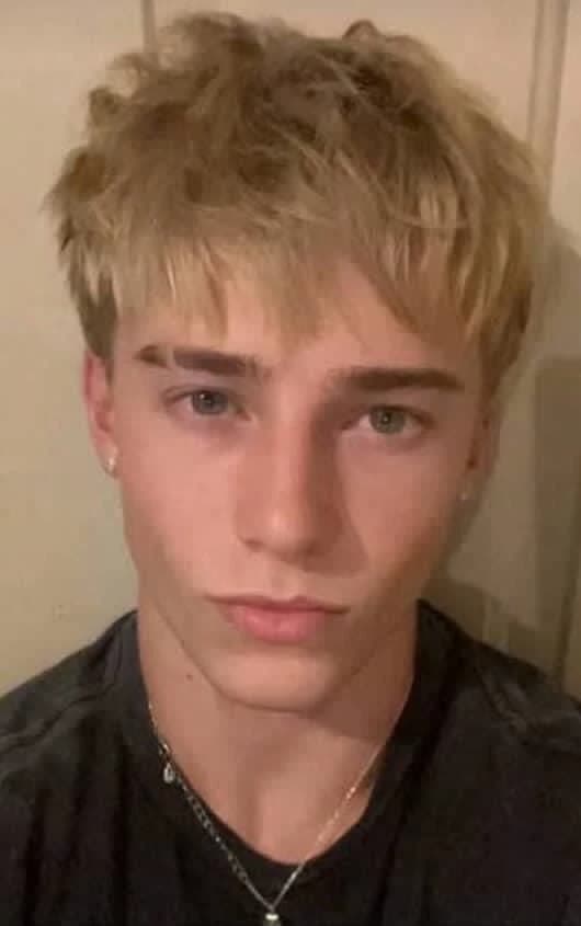 Dylan thumbnail