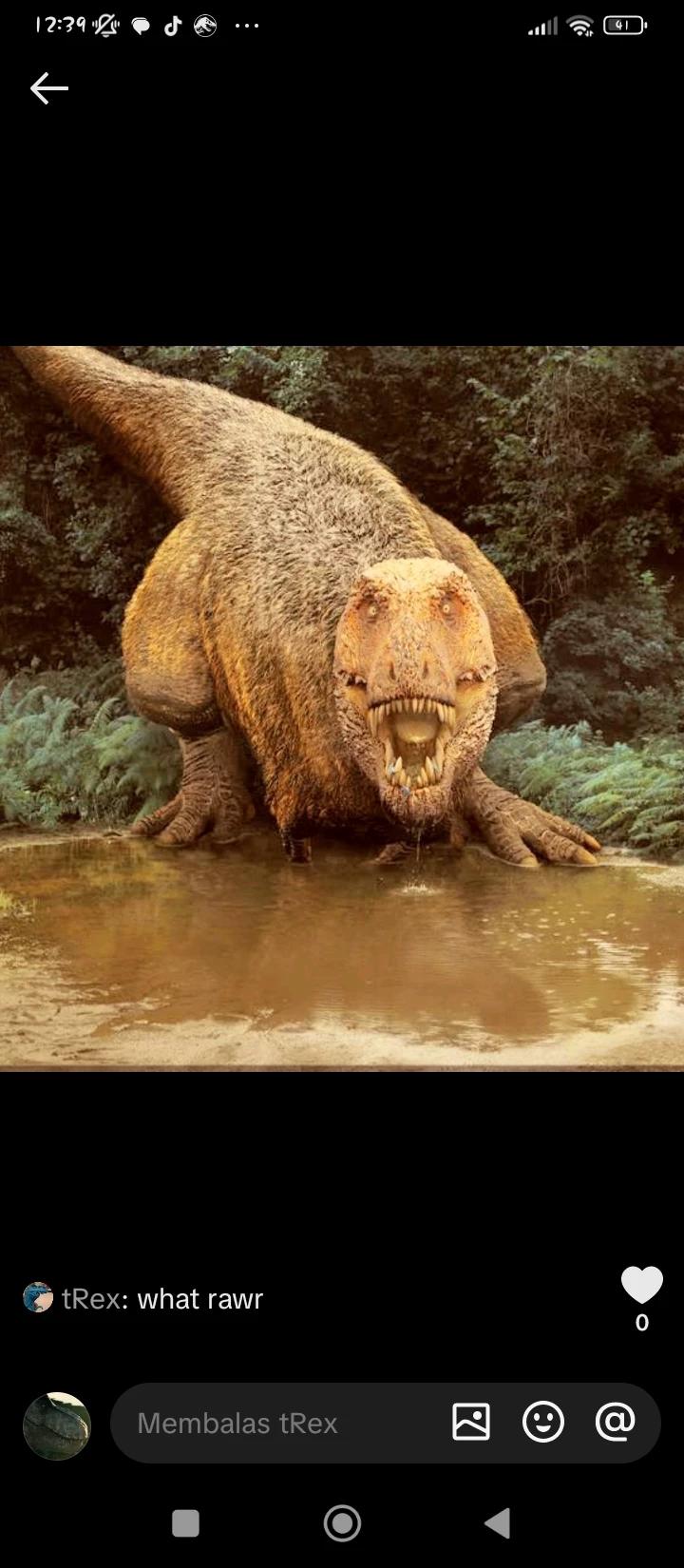 Tyrannosaurus Rex thumbnail