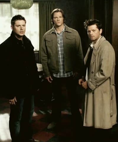 Team Free Will thumbnail