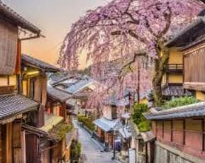 The city of Kyoto  thumbnail