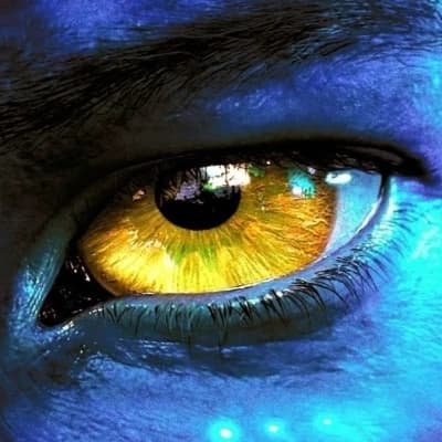 Avatar [Rp] thumbnail