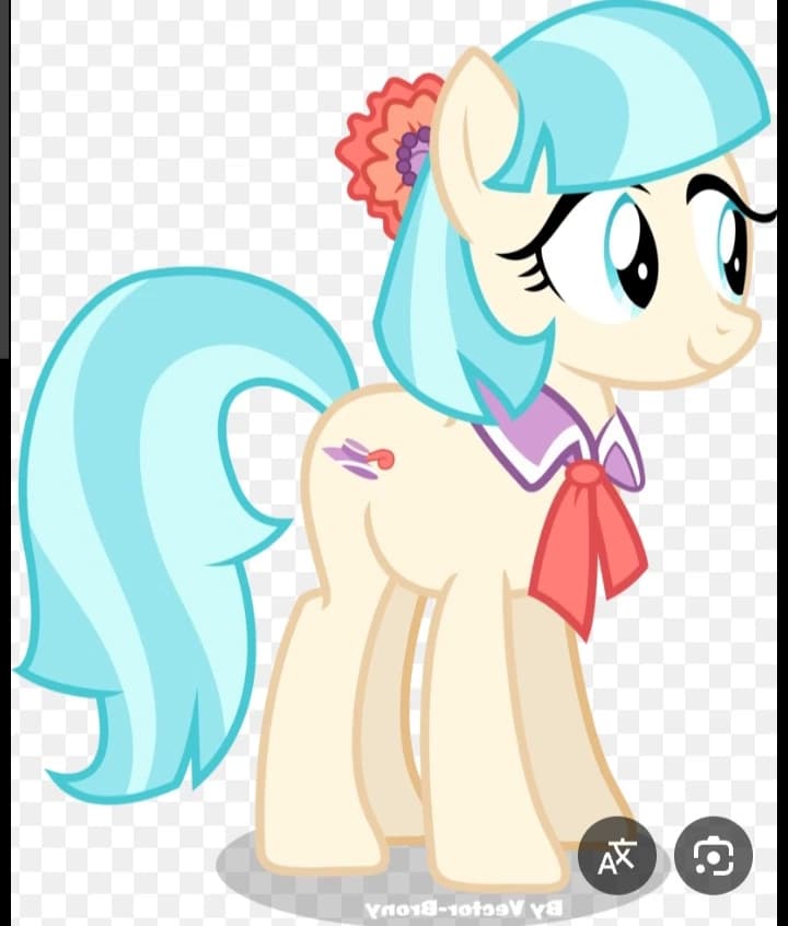 COCO POMMEL thumbnail
