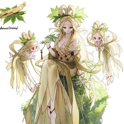 Ginseng or Ginseng Ginseng or Snow thumbnail