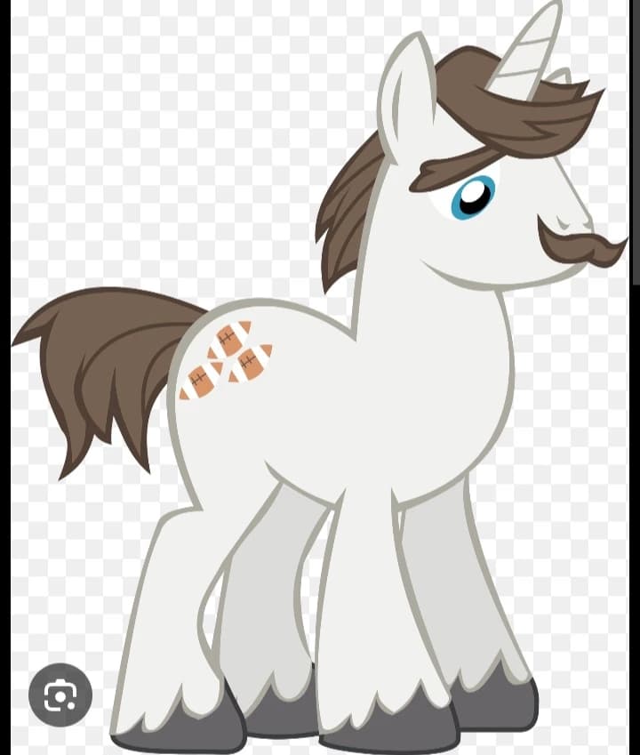 HONDO FLANKS thumbnail