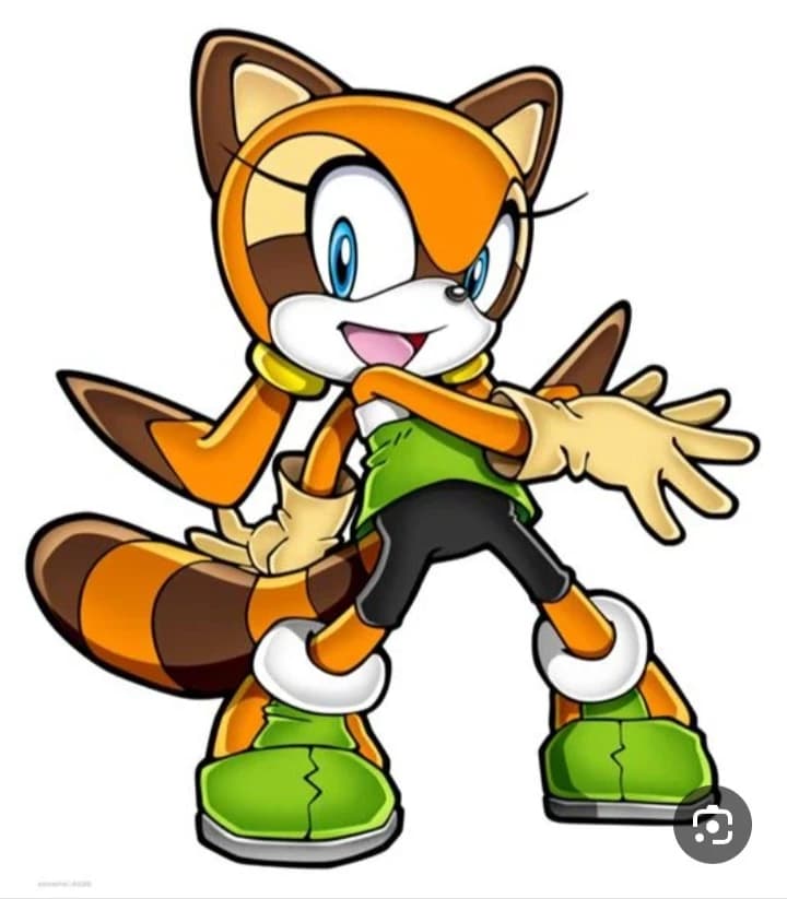 MARINE THE RACCOON thumbnail