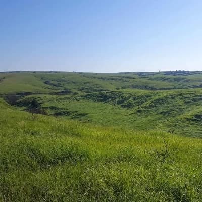 Grasslands thumbnail