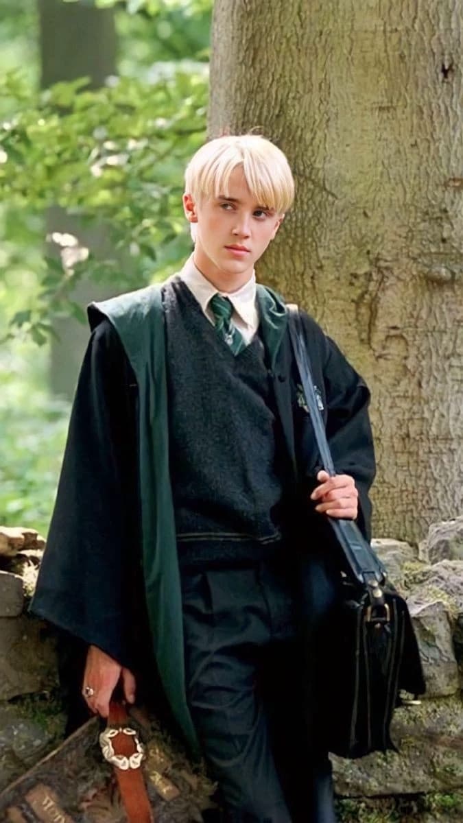 Draco manfloy thumbnail