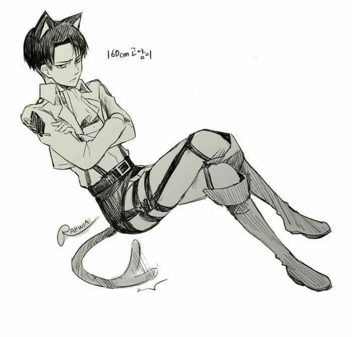 Levi Rivaille Ackerman (Caterman) thumbnail